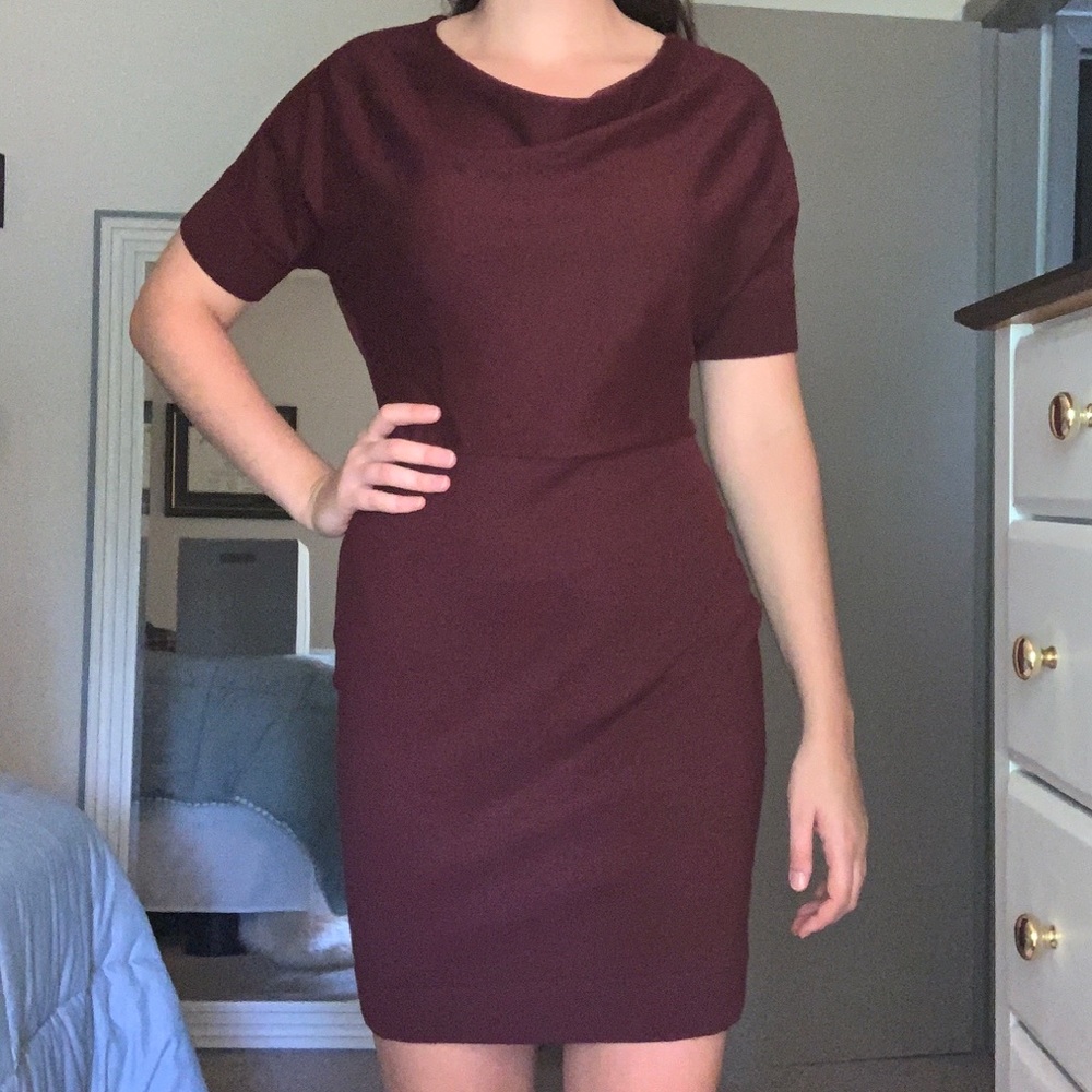 The Limited Burgundy Wool Dress